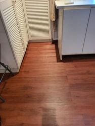 West Park Regency (D5), Apartment #522725791